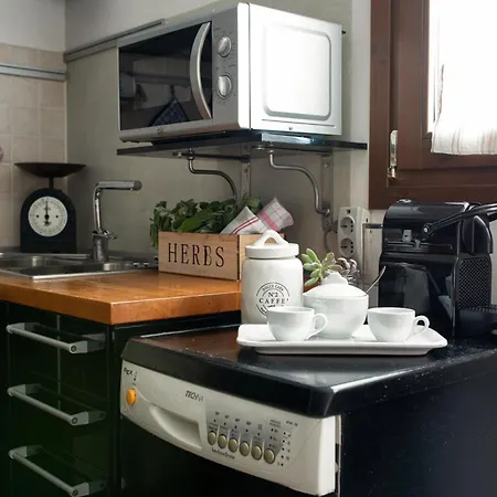 Bright Penthouse With Panoramic Sunlit Terrace Daire